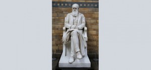 The Impotence of Darwinism